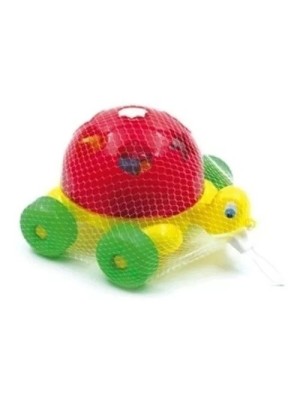 Turtle Didactive Rede Pica-Pau Brinquedo Educativo 13 Pecas