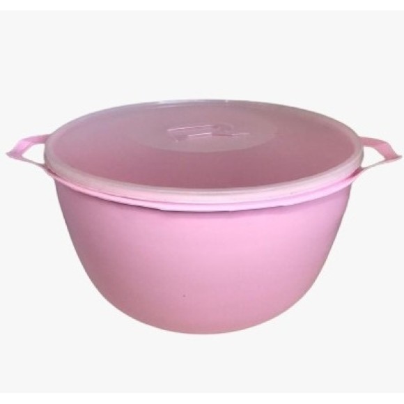 BACIA ROSA COM TAMPA TRANSPARENTE 10,8L UN. UAUPLAS