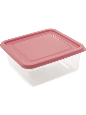 Organizador Slim Quadrado 850ml com Tampa Cinza – Pote Plástico Transparente para Geladeira, Freezer e Despensa, Ideal para Armazenar Alimentos