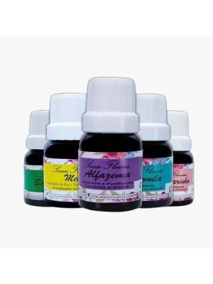 ESSÊNCIA ARRUDA E SAL GROSSO 10ML UN.